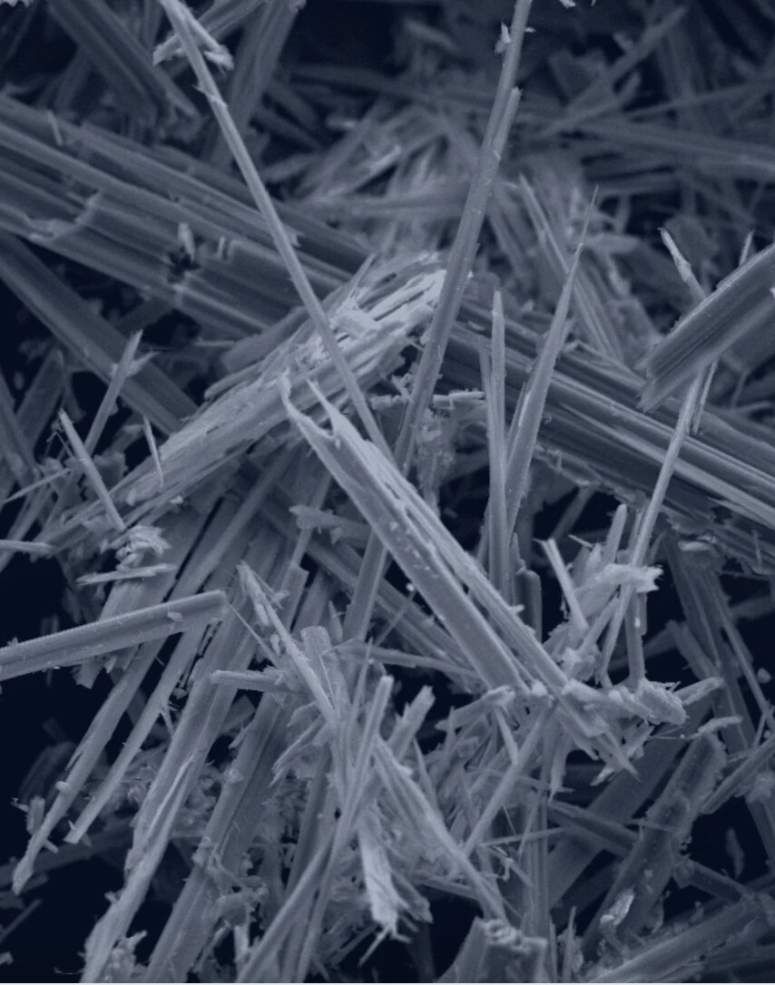 Segal Law Firm asbestos attorney meeting with a mesothelioma patient and their family